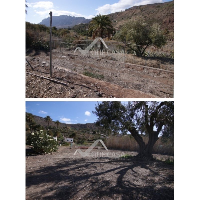 SANTA LUCÍA DE TIRAJANA