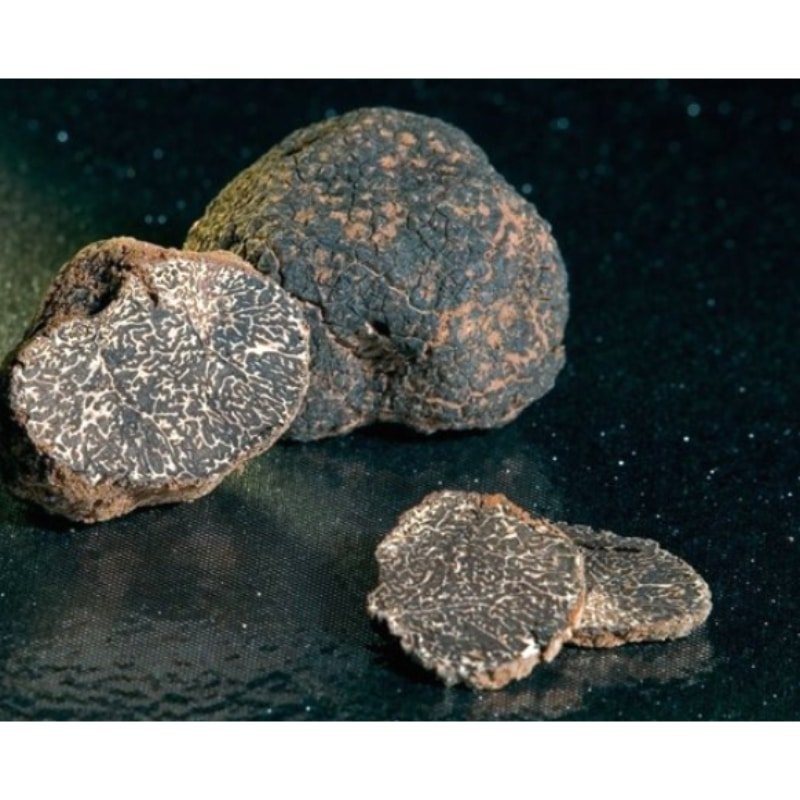 Venta de Trufas en Teruel