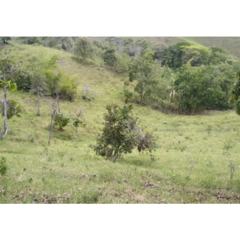 Finca en la iberia