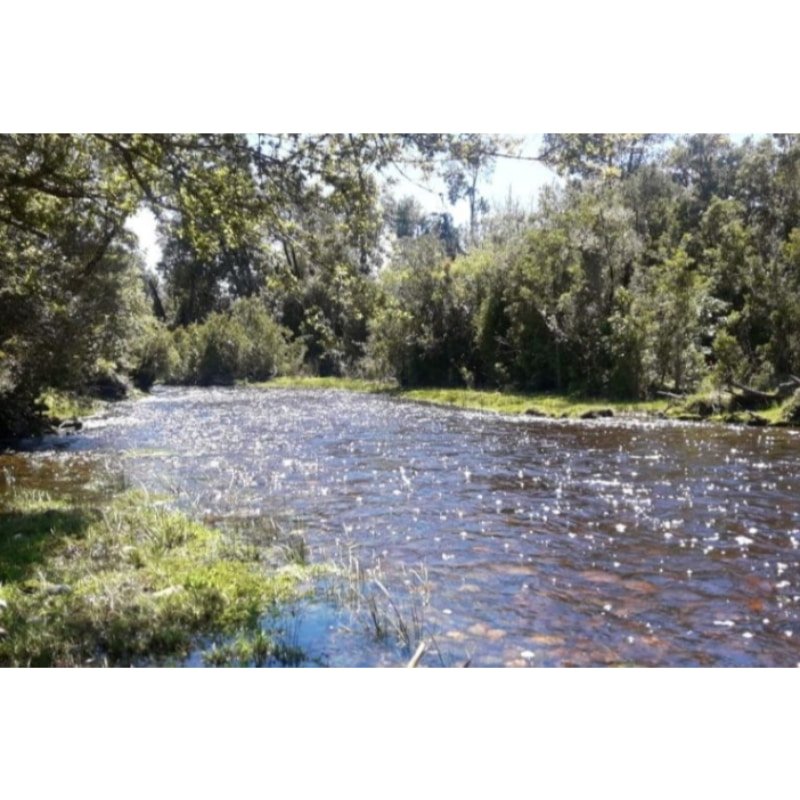 Parcelas de Agrado desde 5000m2 en Ancud - Chiloé