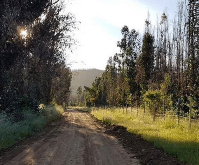 Hermosas Parcelas planas en Colchagua