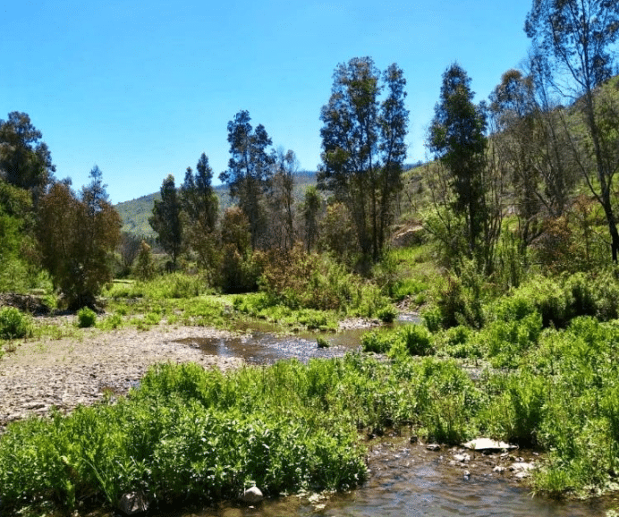 Hermosas Parcelas planas en Colchagua