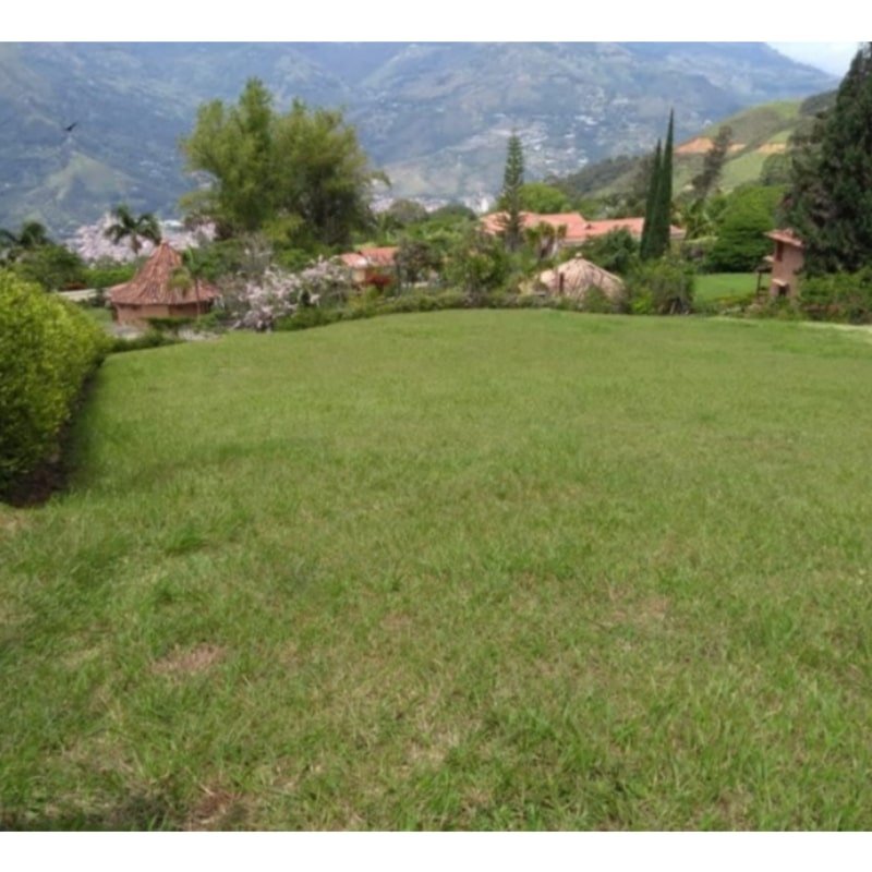 Se vende lote para casa campestre copacabana