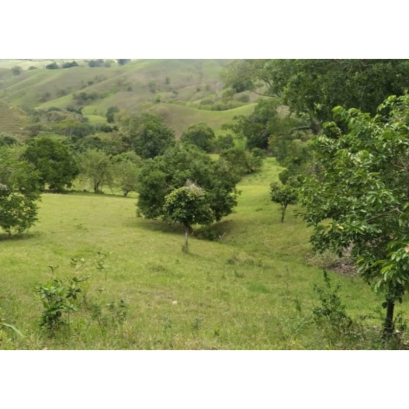 Finca en la iberia