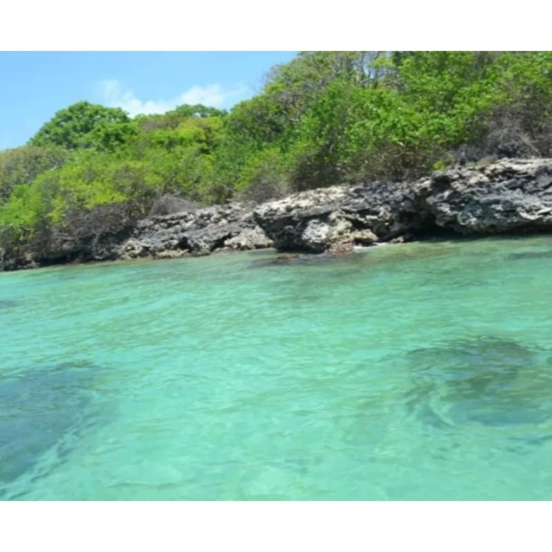 Terreno en Venta isla Baru- Cartagena