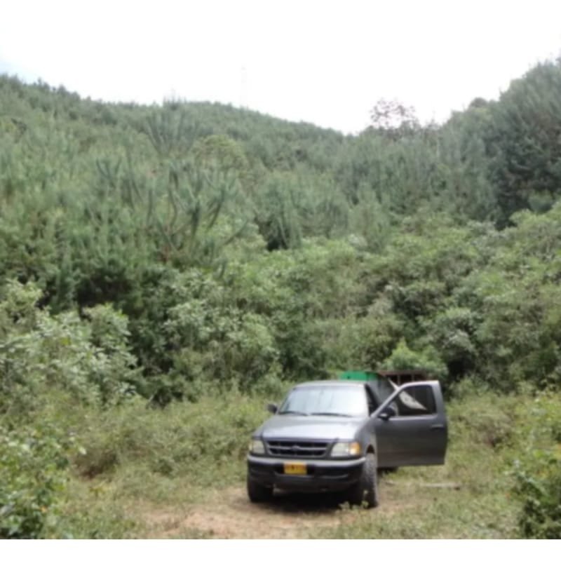 Venta La Ceja-Antioquia 45 ha