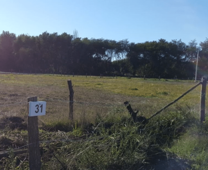 Parcelas de agrado Sector La colonia, Monte Águila