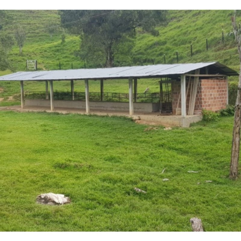 Finca ganadera en San Luis, vereda La Josefina