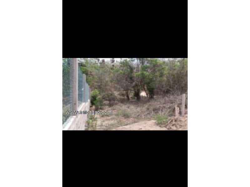 Se vende terreno en zipolite