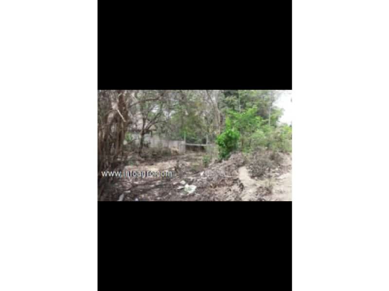 Se vende terreno en zipolite