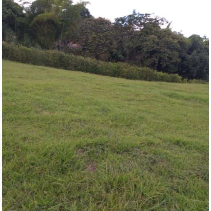 Se vende lote para casa campestre copacabana