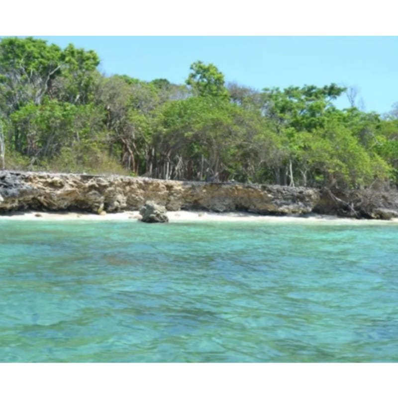 Terreno en Venta isla Baru- Cartagena