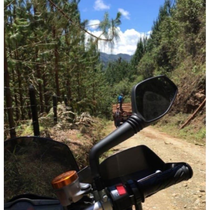 Venta La Ceja-Antioquia 45 ha