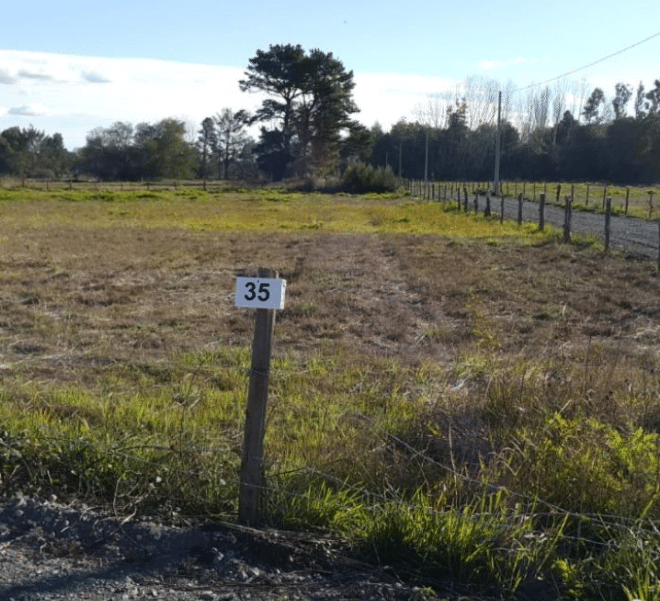 Parcelas de agrado Sector La colonia, Monte Águila