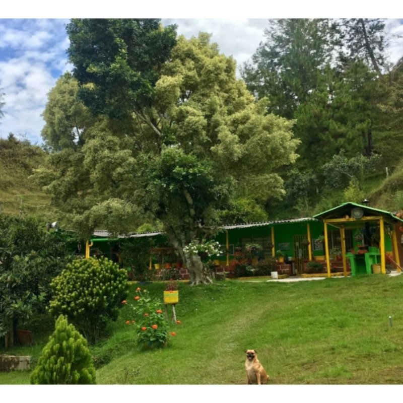 Se vende finca en Barbosa