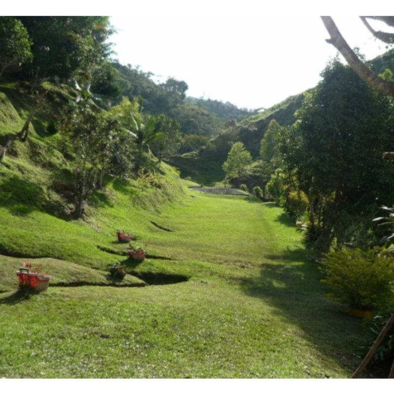 Se vende finca en Barbosa