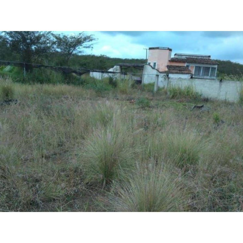 Terreno En Venta En Fracc. Club De Golf