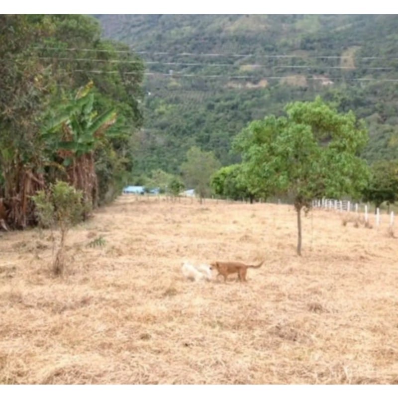 Lote a 10 minutos de Pacho, Cundinamarca