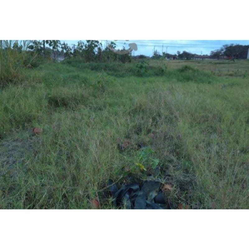 Terreno En Venta En Fracc. Club De Golf