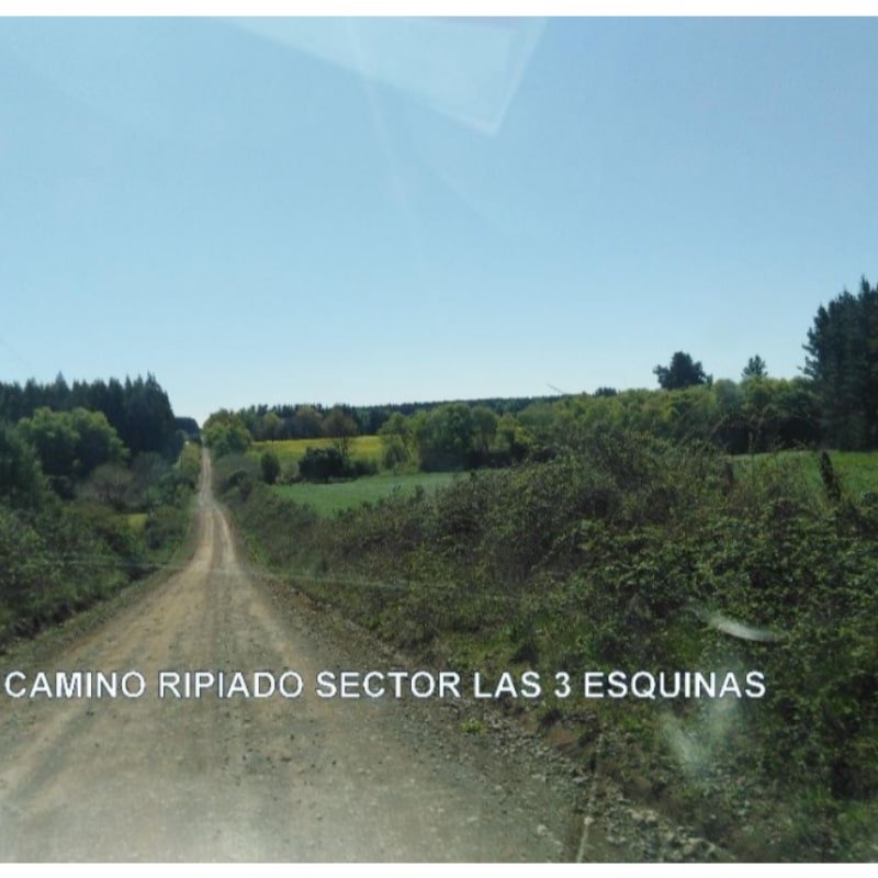 VENDO EN OFERTA. PARCELAS DE MEDIA HECTAREA. LAS C