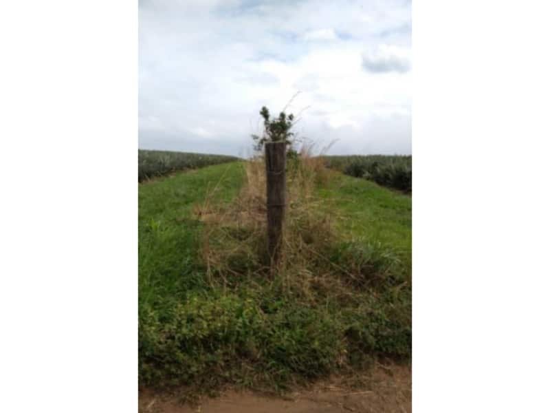 Se vende terreno agricola-ganadero veracruz, mexic