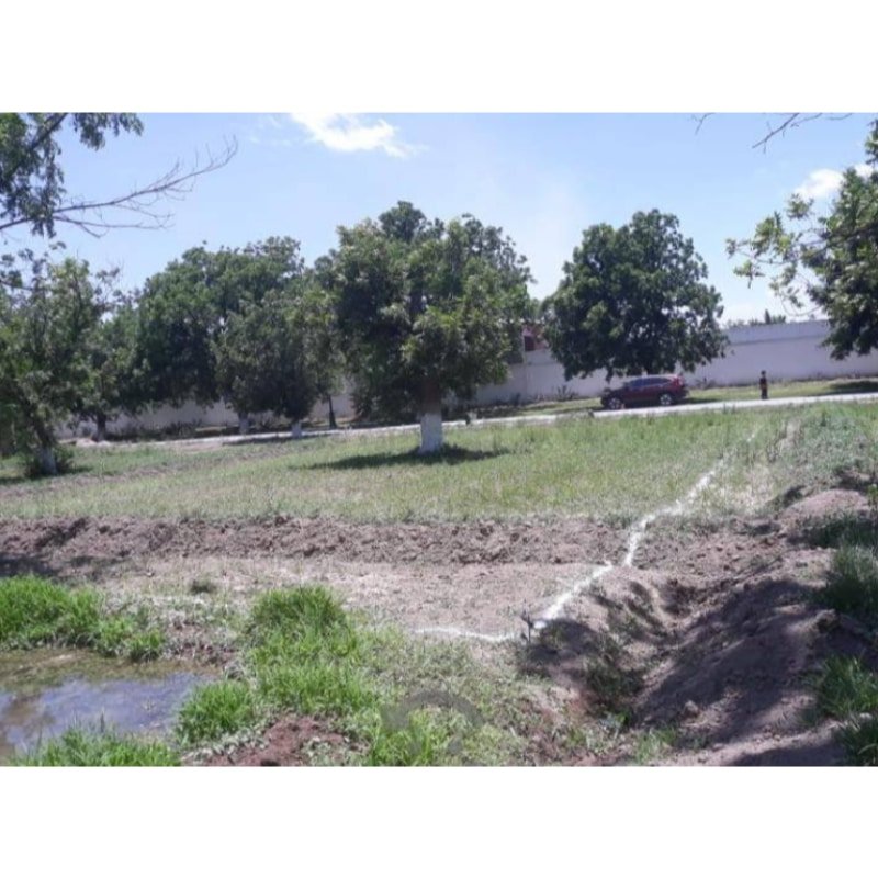Terreno En Venta En Fracc . San Armando