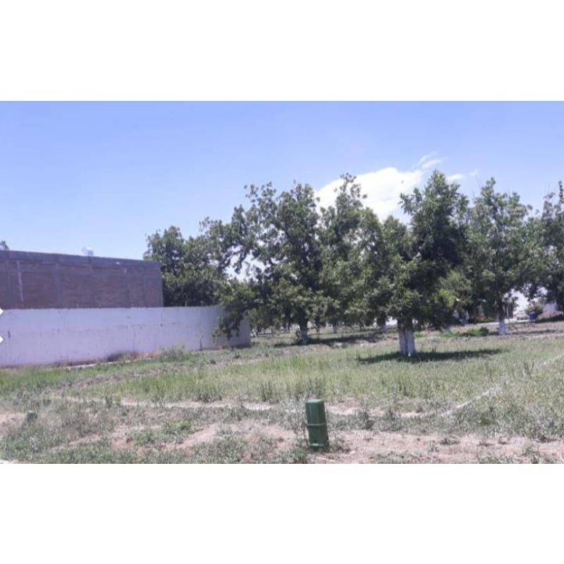 Terreno En Venta En Fracc . San Armando