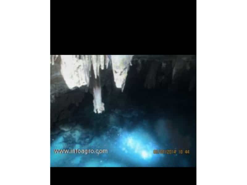 Se vende terreno con cenote, muy grande.