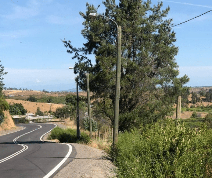 Hermosos terrenos en Sauzal VII region