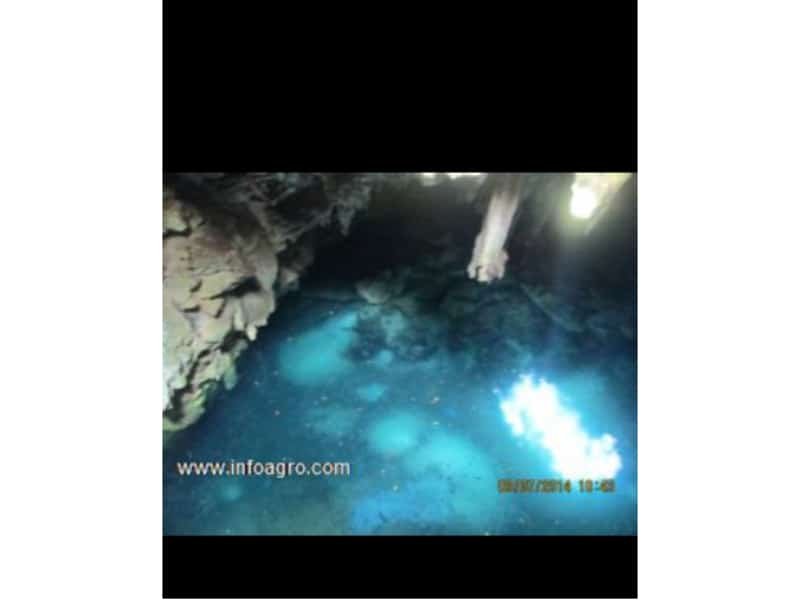 Se vende terreno con cenote, muy grande.