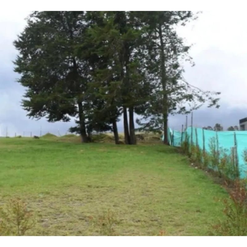 Lote industrial por la paralela a Rionegro, Guarne