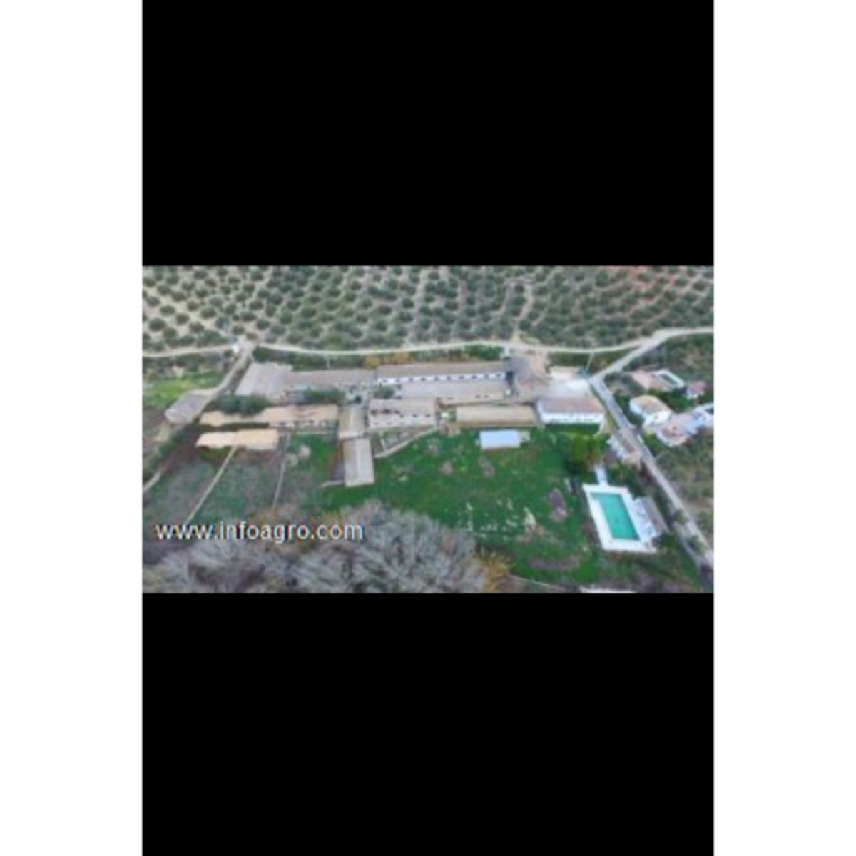 Finca con tres viviendas, terreno, naves en jaén
