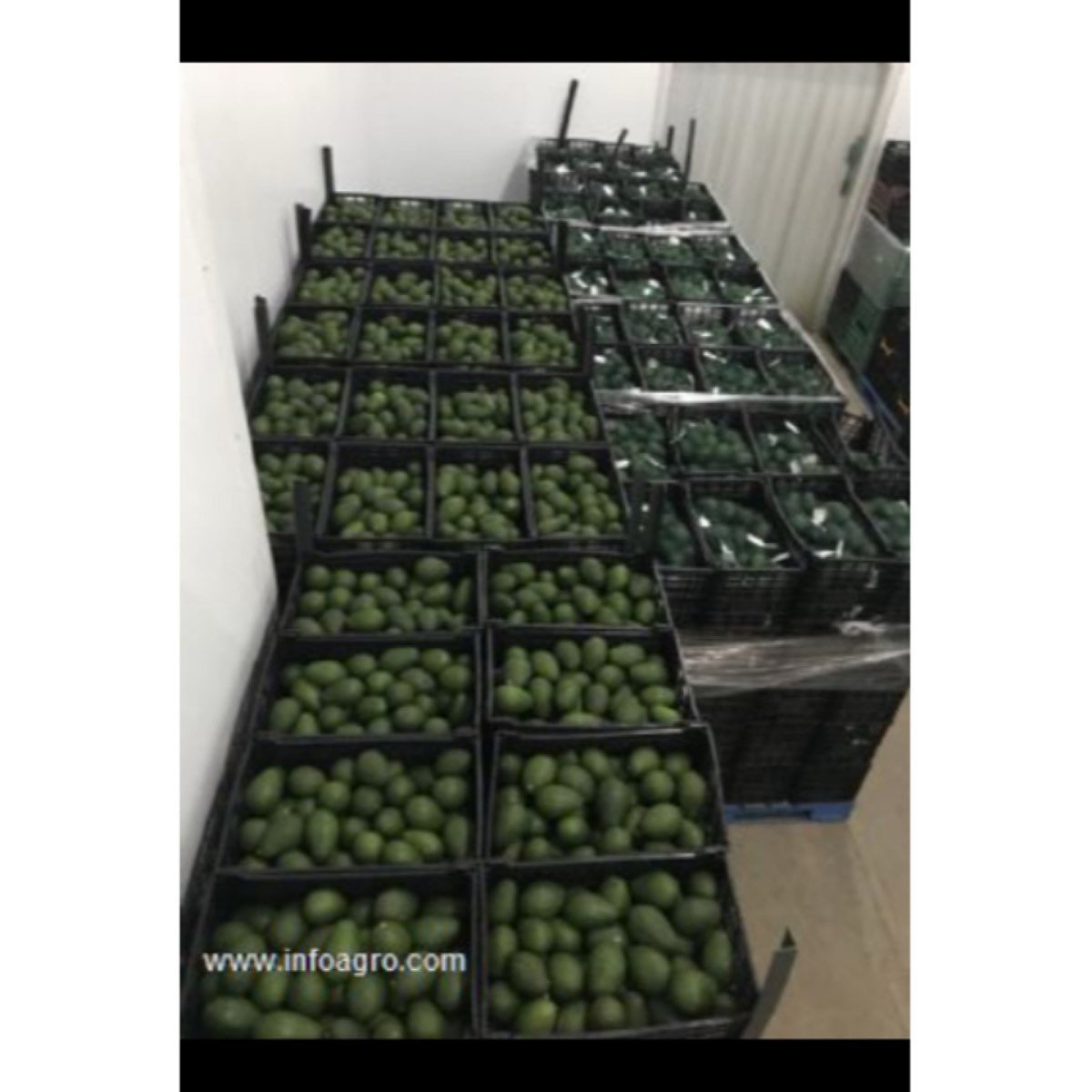 Se vende -quires vender tus productos en otros paí