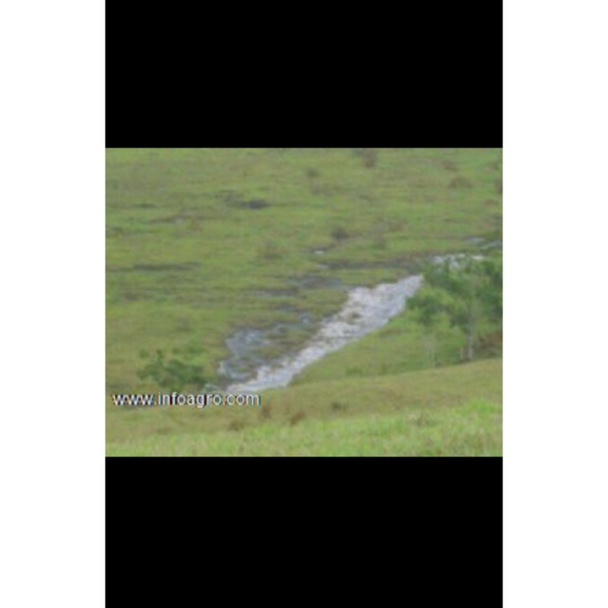 Se vende finca ganadera, agricola