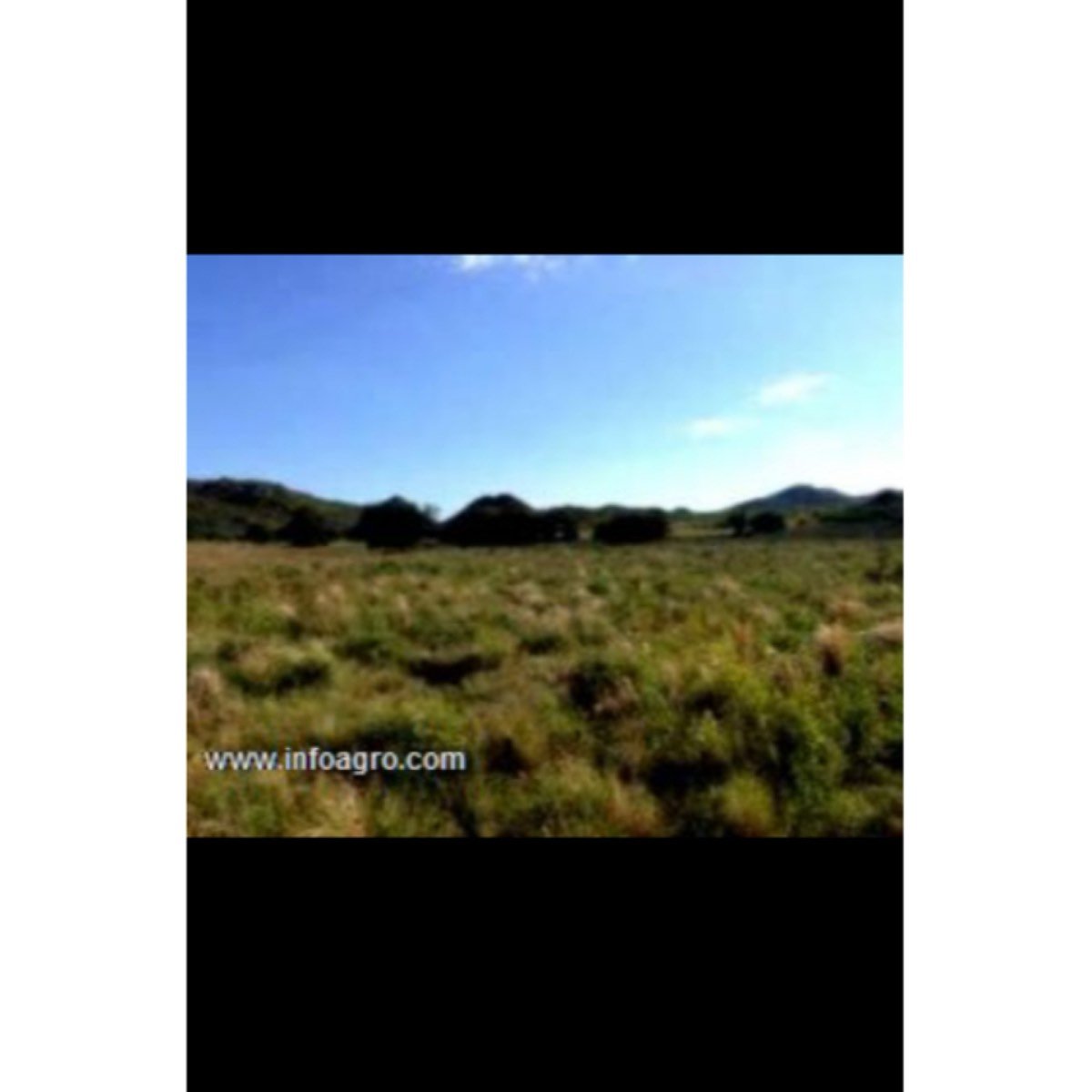Se vende espectacular campo mixto a tranquera cerr