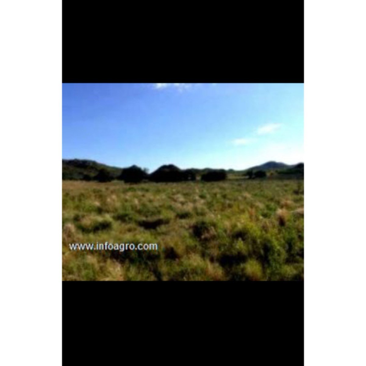 Se vende espectacular campo mixto a tranquera cerr