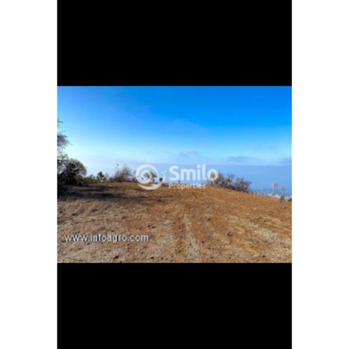 Se vende finca agrícola con 16.000 m2 de terreno