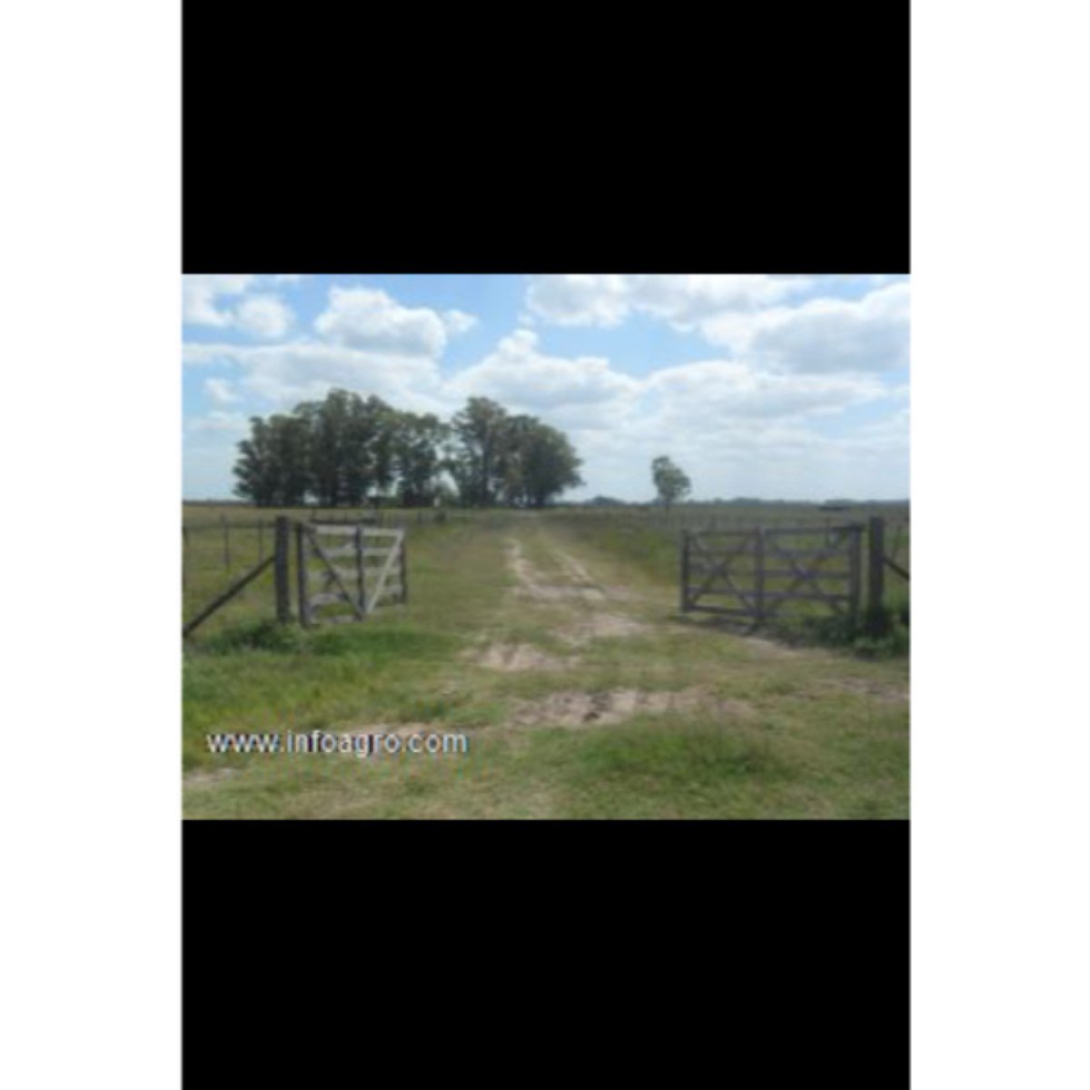 Se vende campo en venta en saladillo, bs. as.
