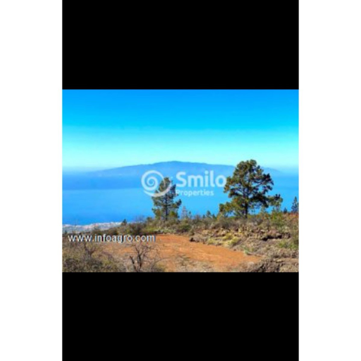 Se vende finca agrícola con 16.000 m2 de terreno