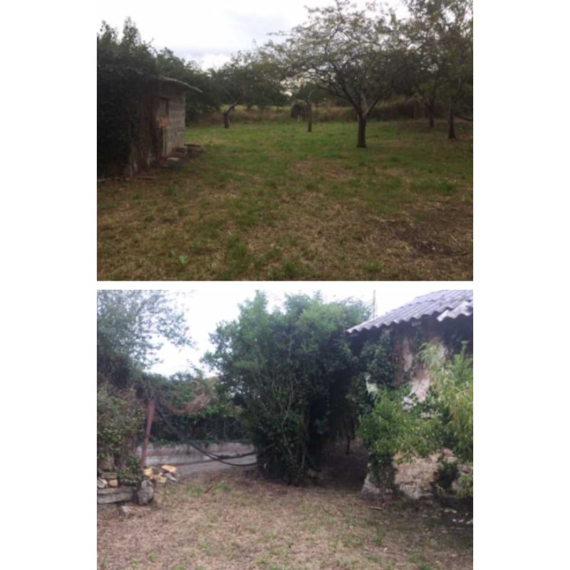 LLANERA