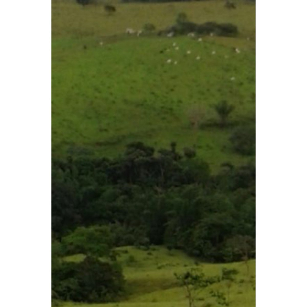 Se vende finca ganadera, agricola