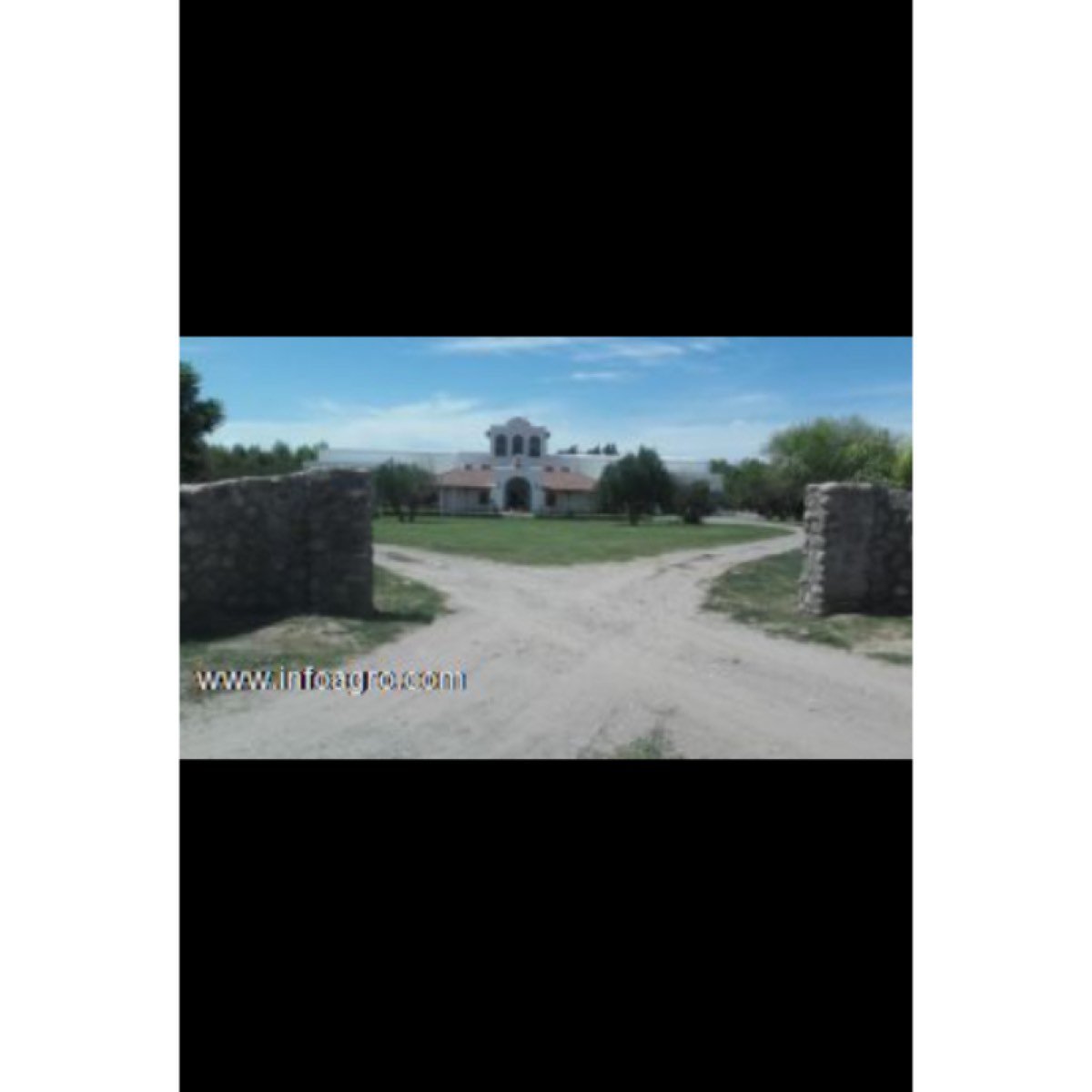 Se vende 800 has de olivar