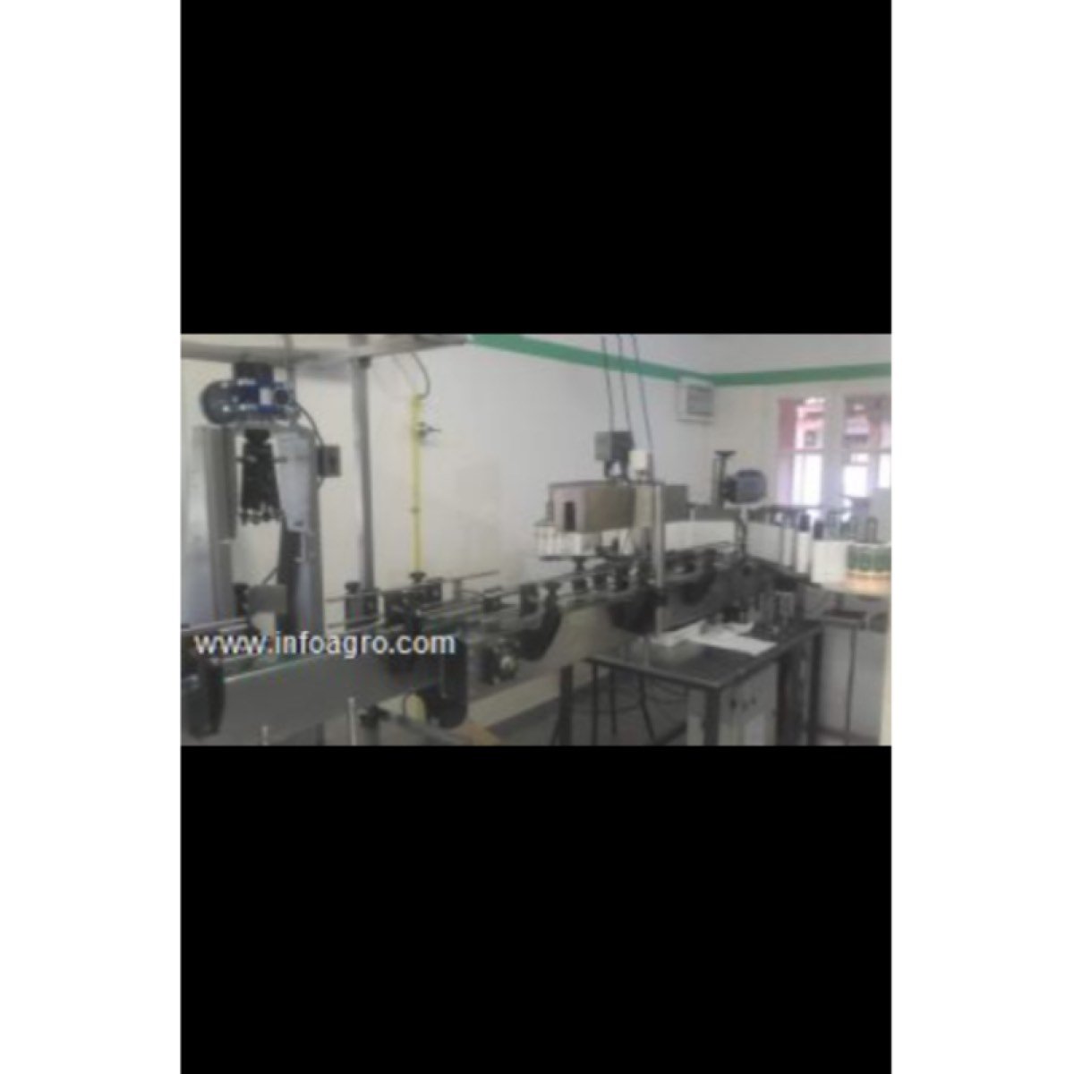 Se vende 800 has de olivar