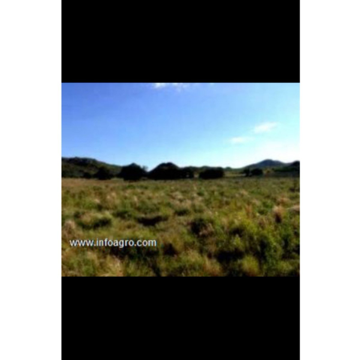 Se vende espectacular campo mixto a tranquera cerr
