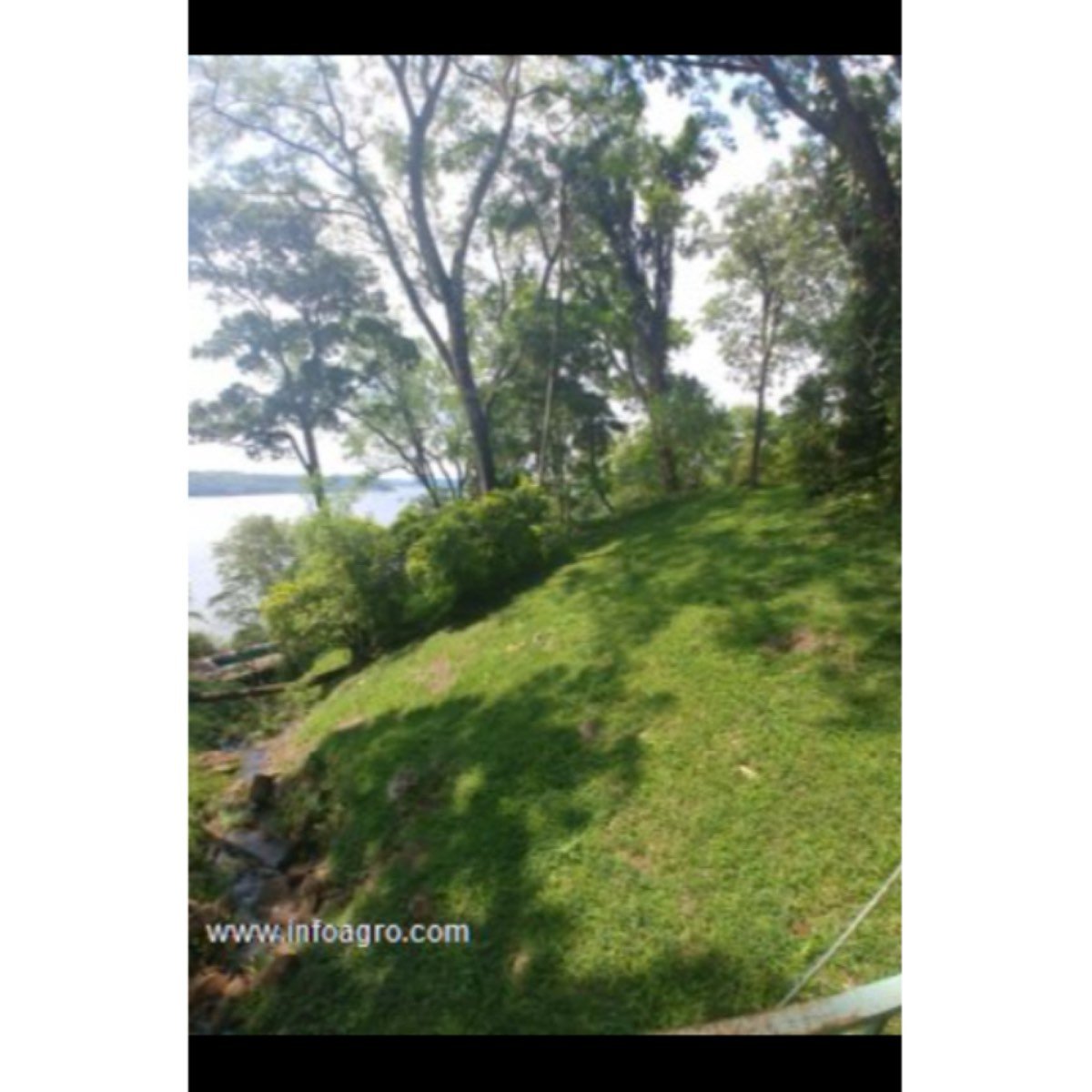 Se vende terreno construible 1ha