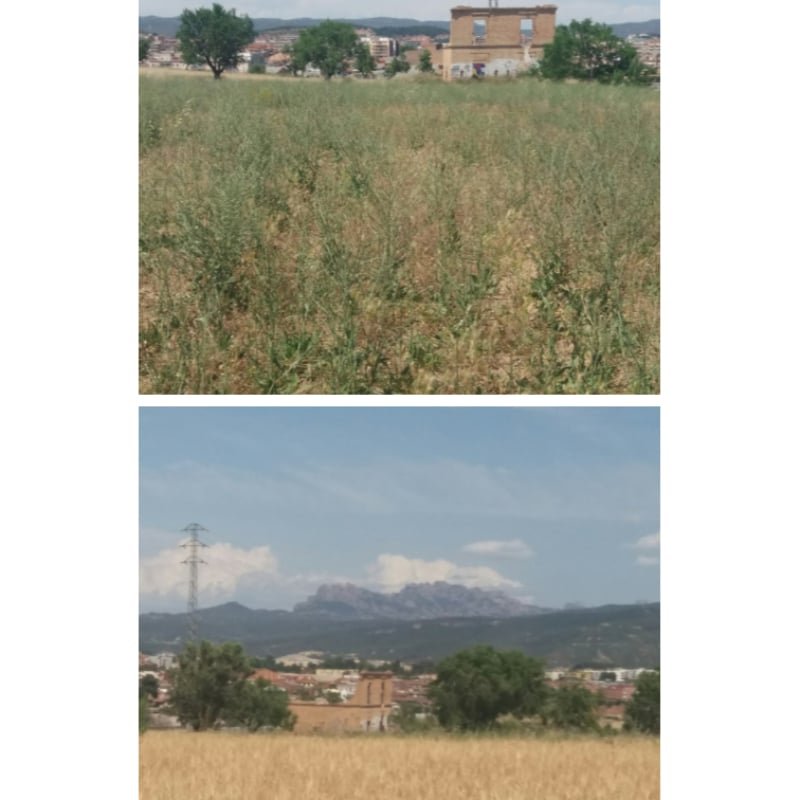 IGUALADA. RONDA DEL REC