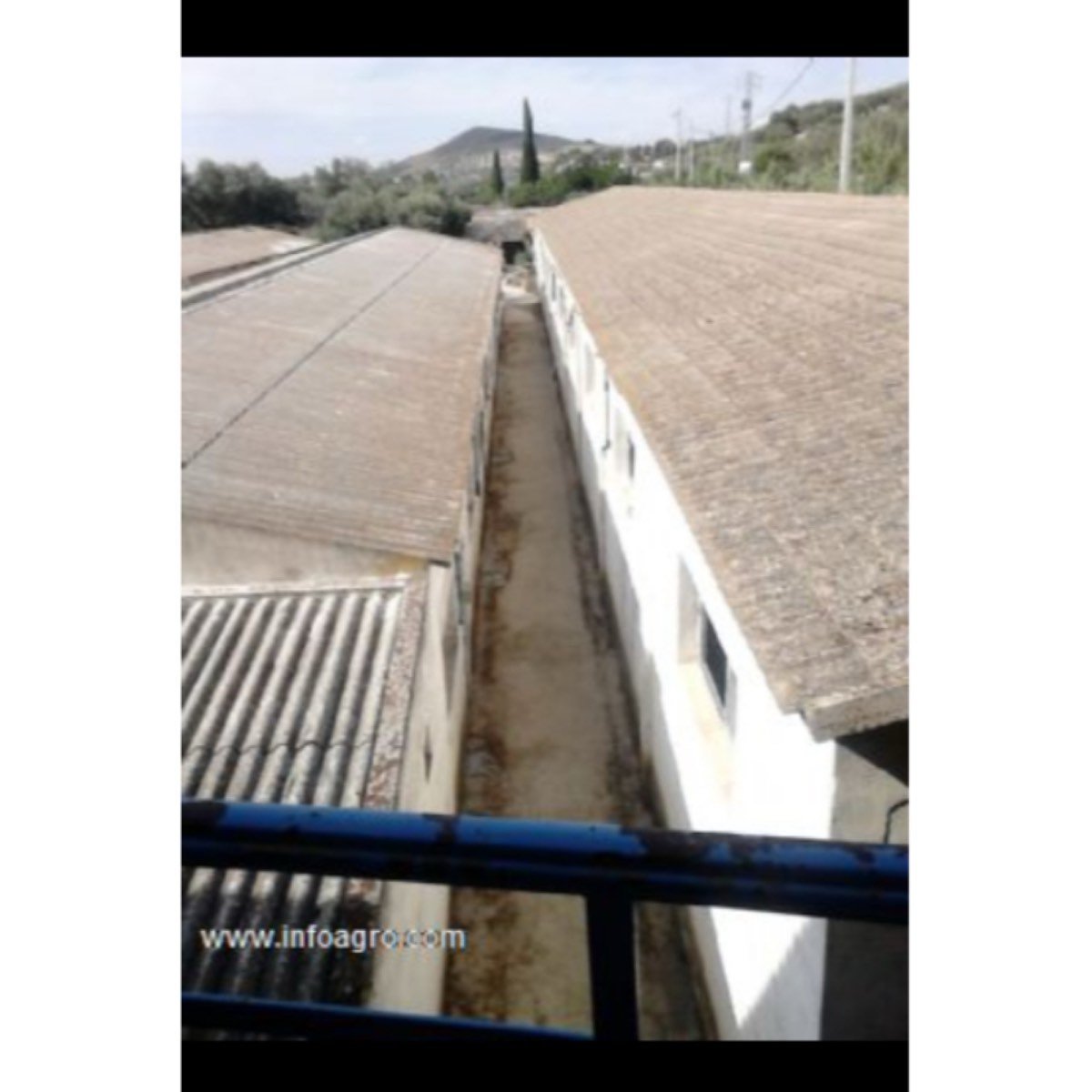 Finca con tres viviendas, terreno, naves en jaén