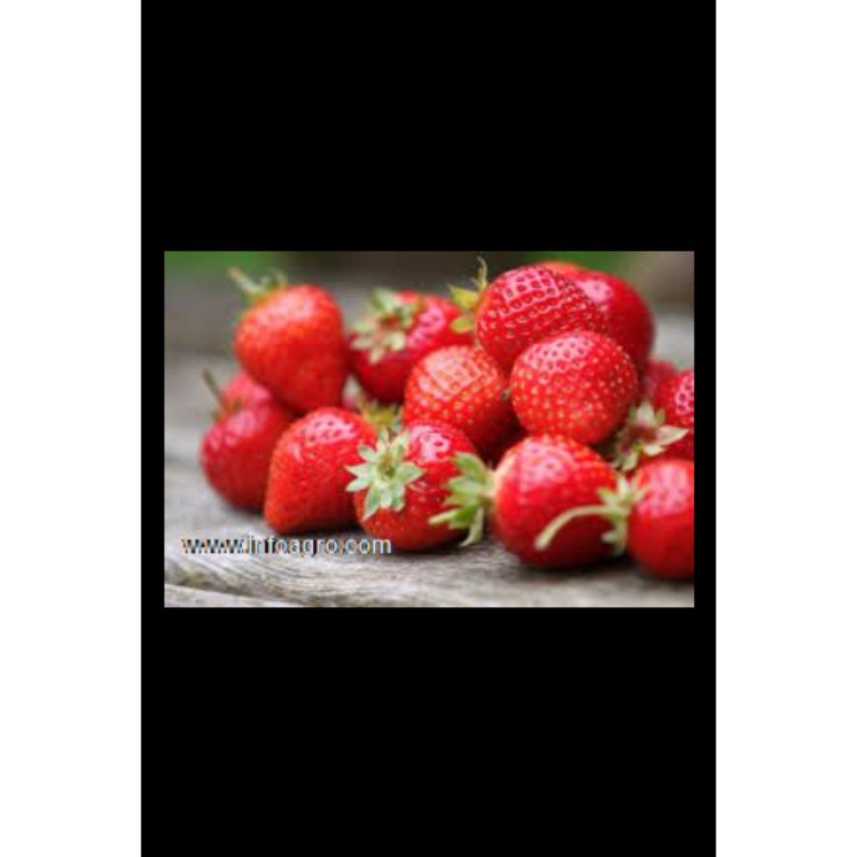 Se vende fresas de muy buena calidad