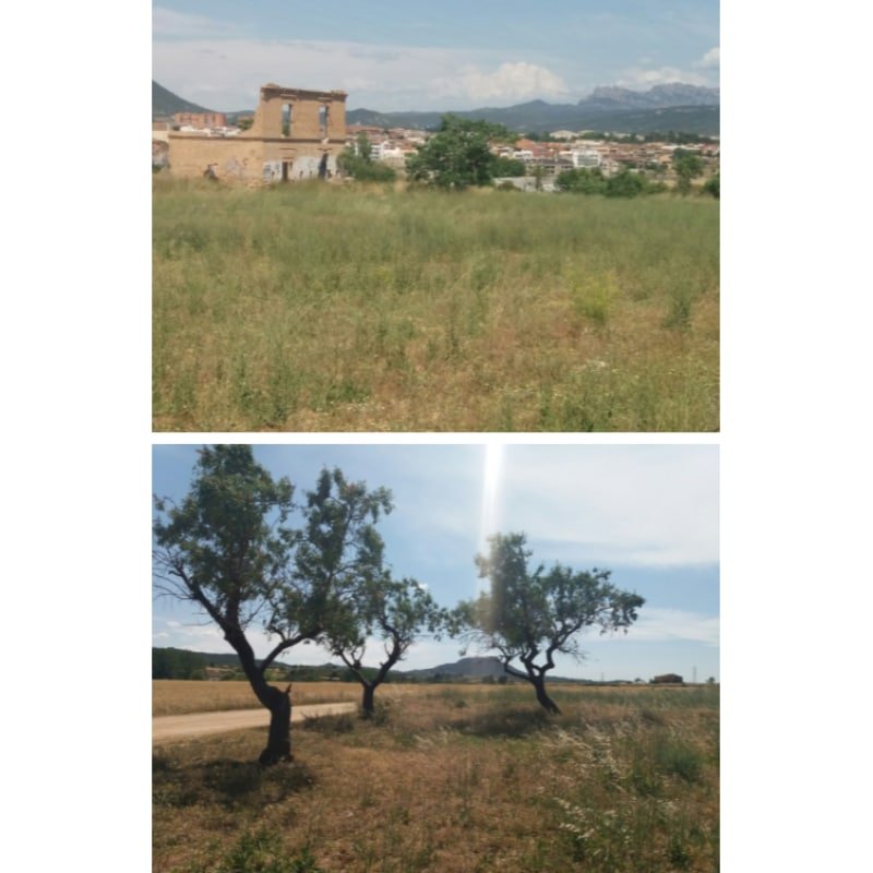 IGUALADA. RONDA DEL REC