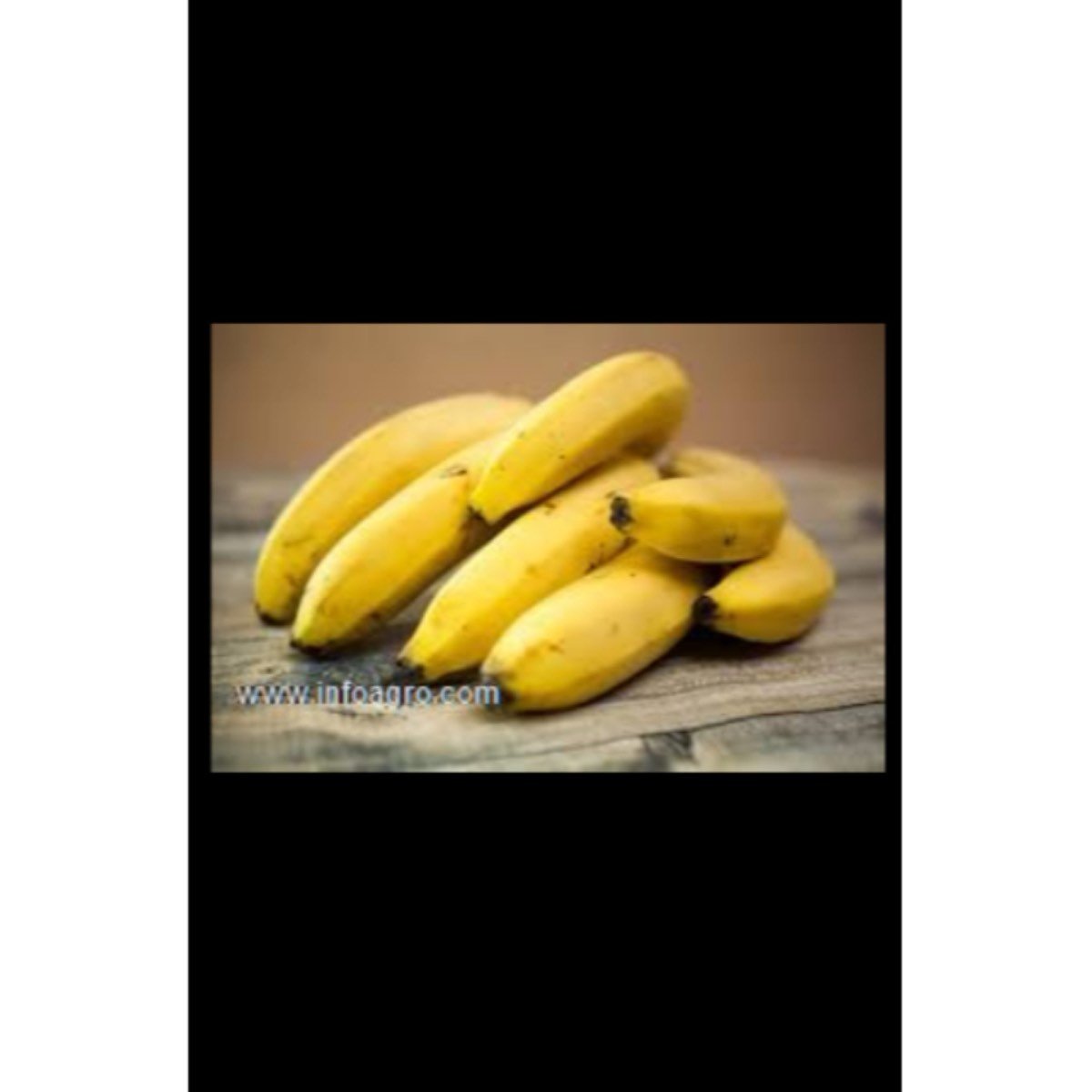Se vende empresa de frutas tropicales
